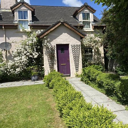 Orchard Cottage Dingle Exteriör bild