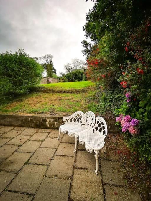 Orchard Cottage Dingle Exteriör bild